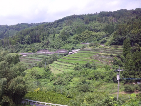7SH3G0637.jpg