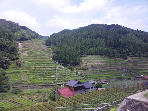7SH3G0638.jpg