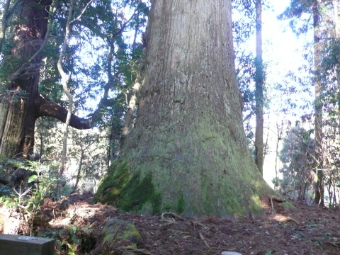 サイズ変換_P1030556.JPG