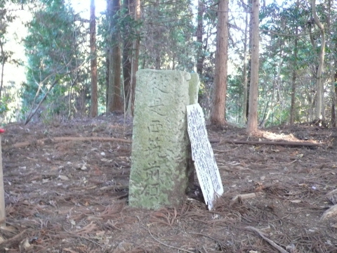 サイズ変換_P1030563.JPG