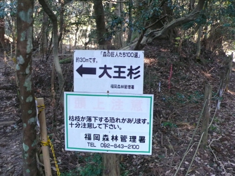 サイズ変換_P1030569.JPG
