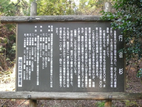 サイズ変換_P1030573.JPG