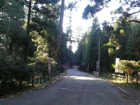 サイズ変換_P1030574.JPG