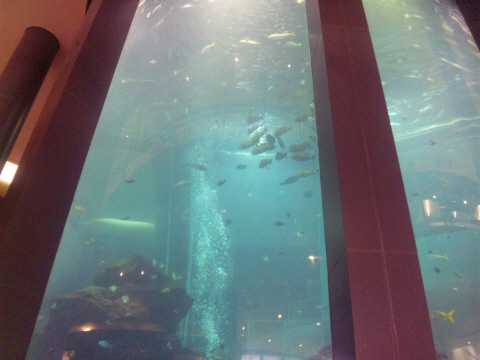 サイズ変換_SH3G0799.jpg