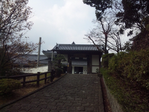 サイズ変換_SH3G0969.jpg