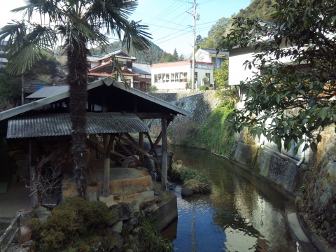 サイズ変換_SH3G1389.jpg