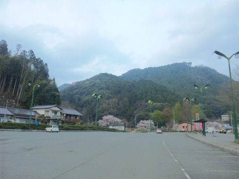 サイズ変換_SH3G1816.jpg