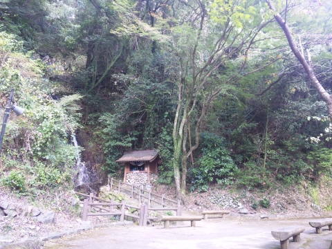 サイズ変換_SH3G2568.jpg