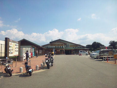 SH3G0264.jpg