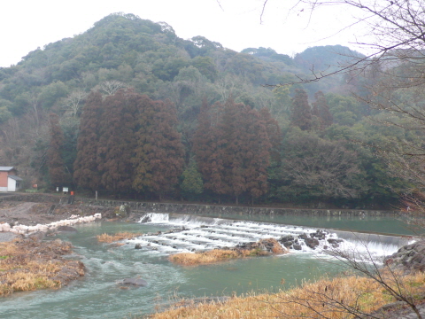 サイズ変換_P1030833.JPG