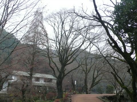 サイズ変換_P1030860.JPG