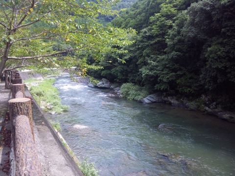 サイズ変換_SH3G0628.jpg