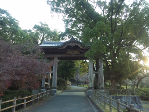 サイズ変換_SH3G0960.jpg