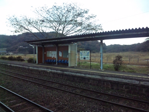 サイズ変換_SH3G1124.jpg